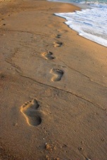 Digital Footprints